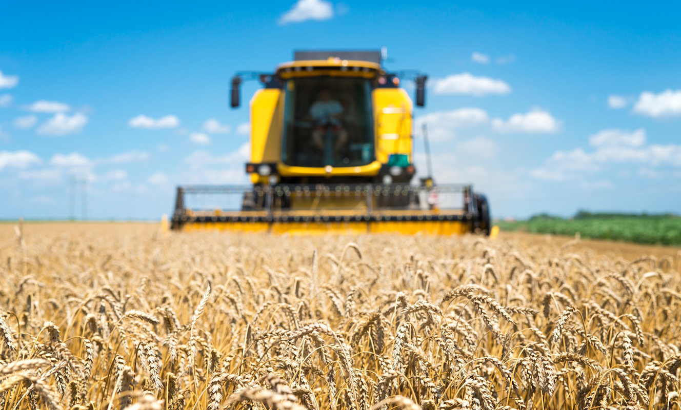 Produção Agronegócio